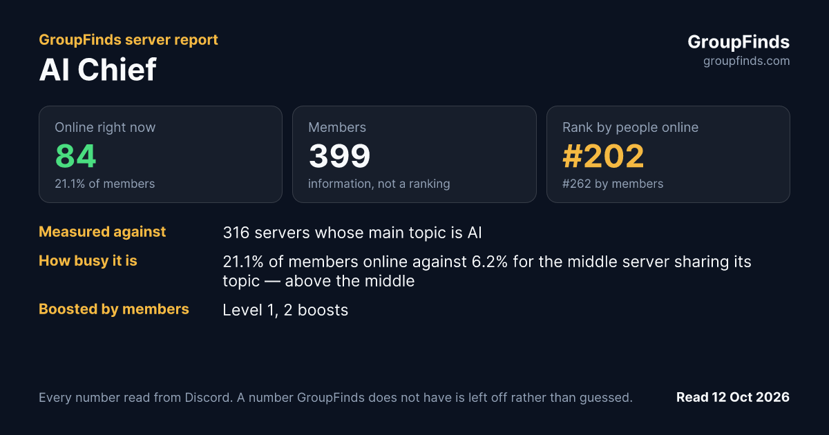 AI Chief's GroupFinds server report
