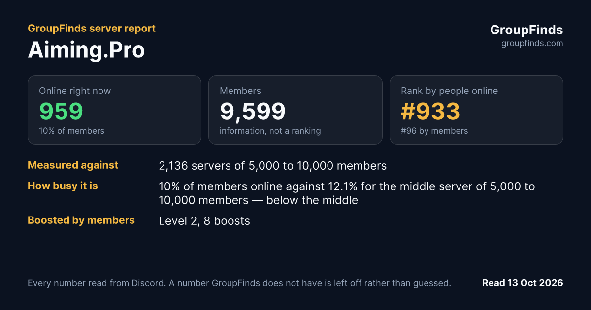 Aiming.Pro's GroupFinds server report