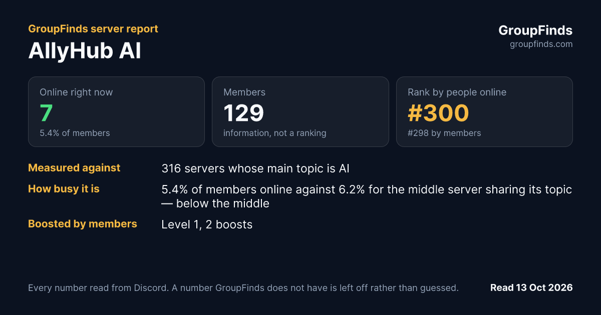 AllyHub AI's GroupFinds server report
