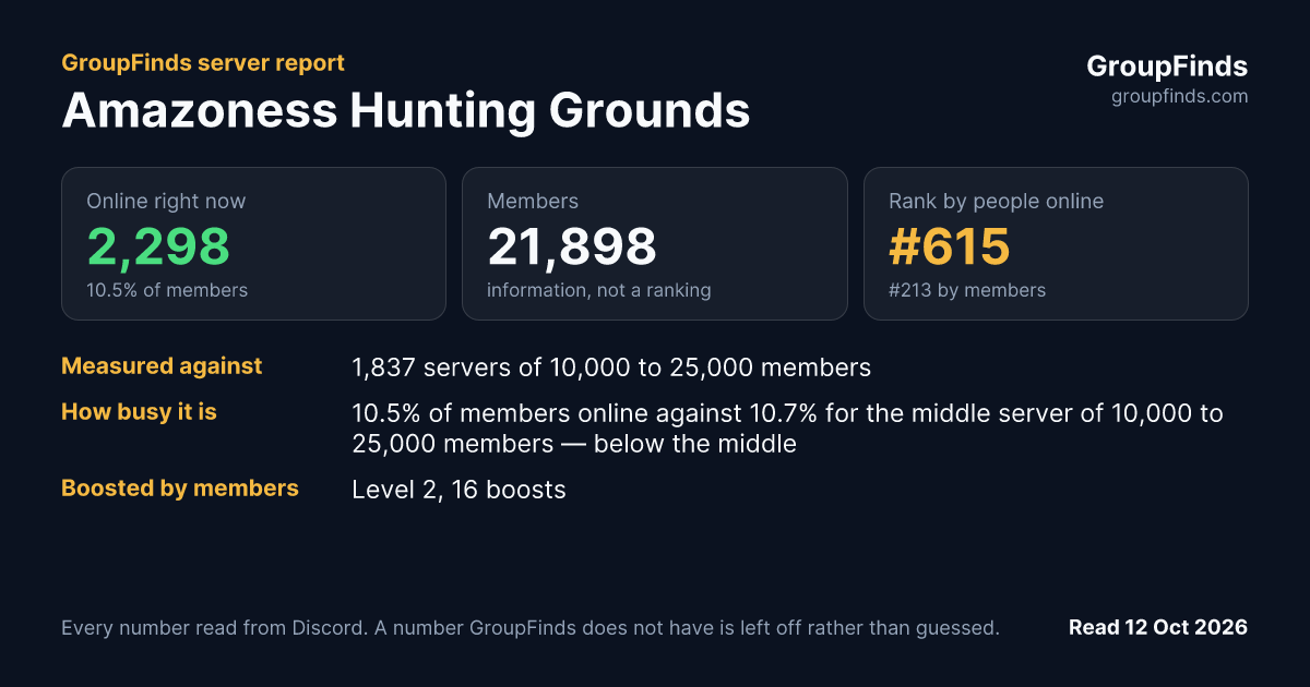 Amazoness Hunting Grounds's GroupFinds server report