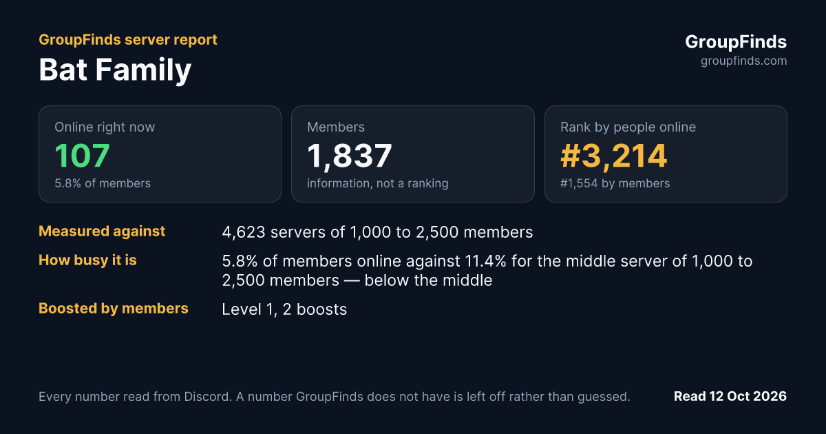 Bat Family's GroupFinds server report