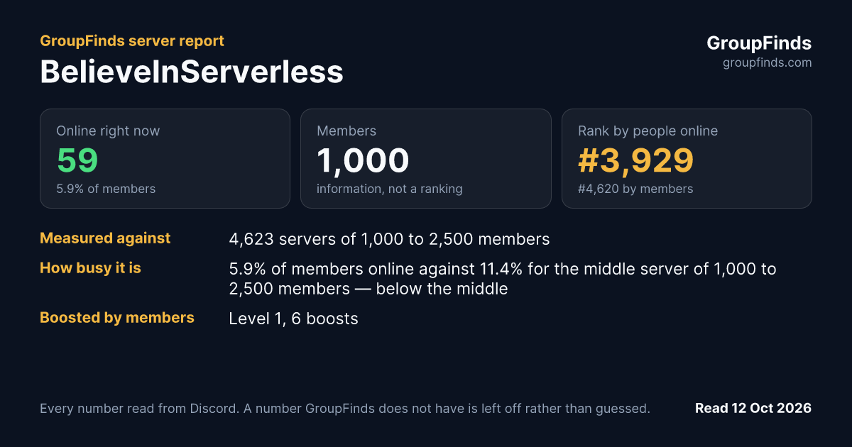 BelieveInServerless's GroupFinds server report