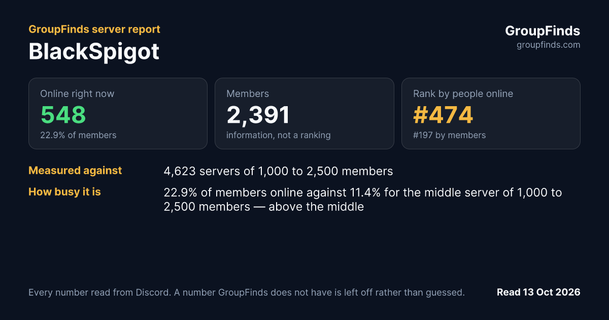 BlackSpigot's GroupFinds server report