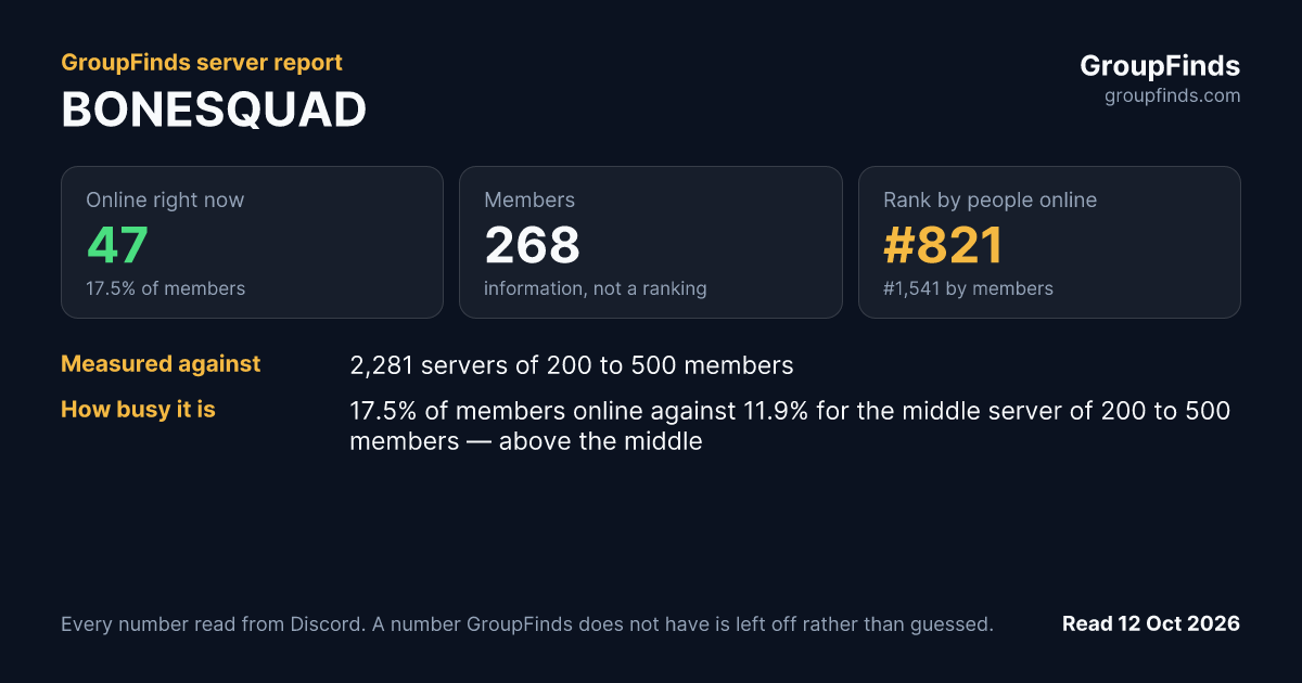 BONESQUAD's GroupFinds server report