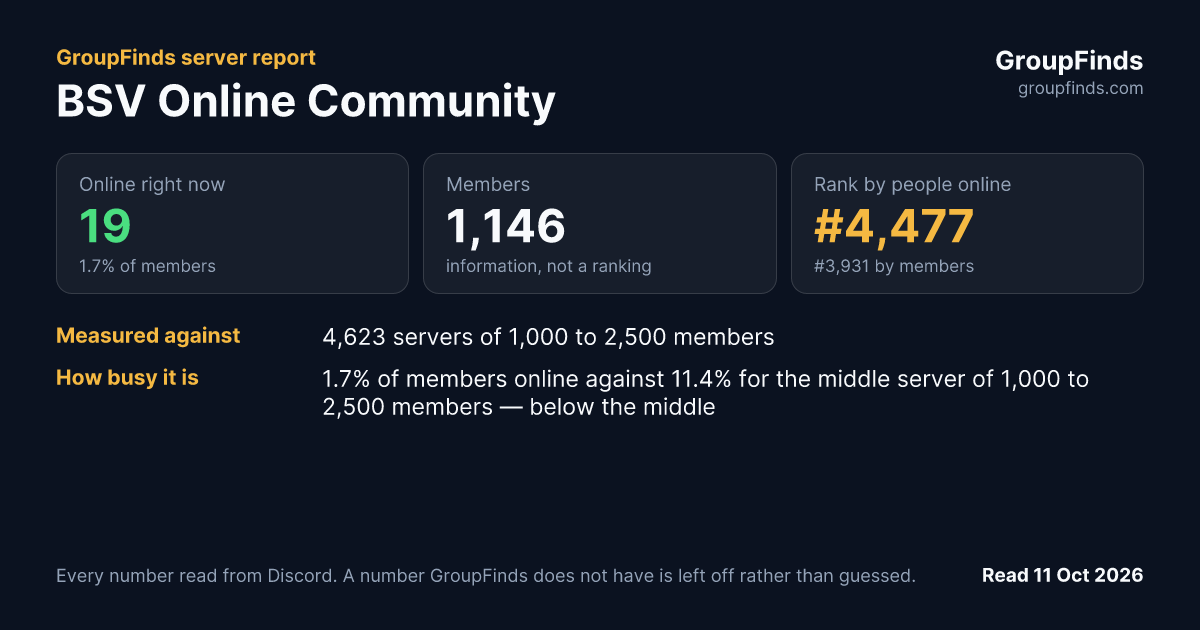 BSV Online Community's GroupFinds server report