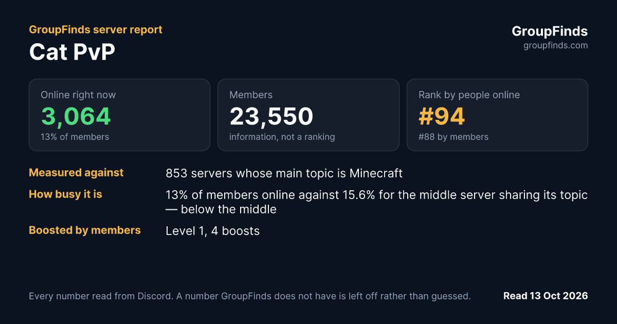 Cat PvP's GroupFinds server report