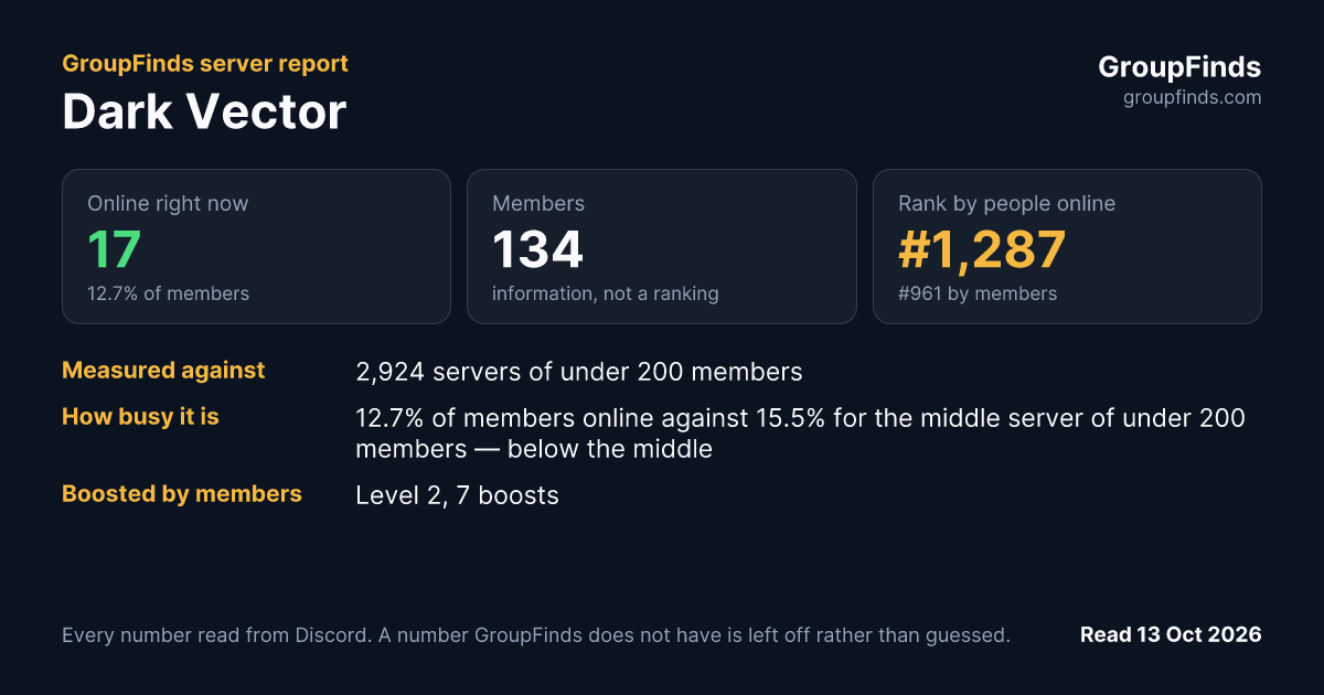 Dark Vector's GroupFinds server report