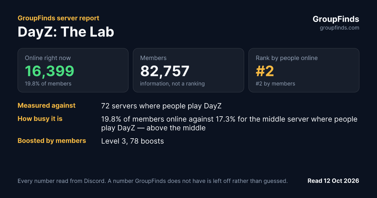 DayZ: The Lab's GroupFinds server report