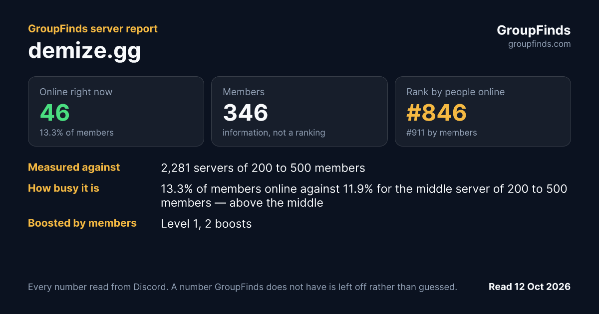 demize.gg's GroupFinds server report