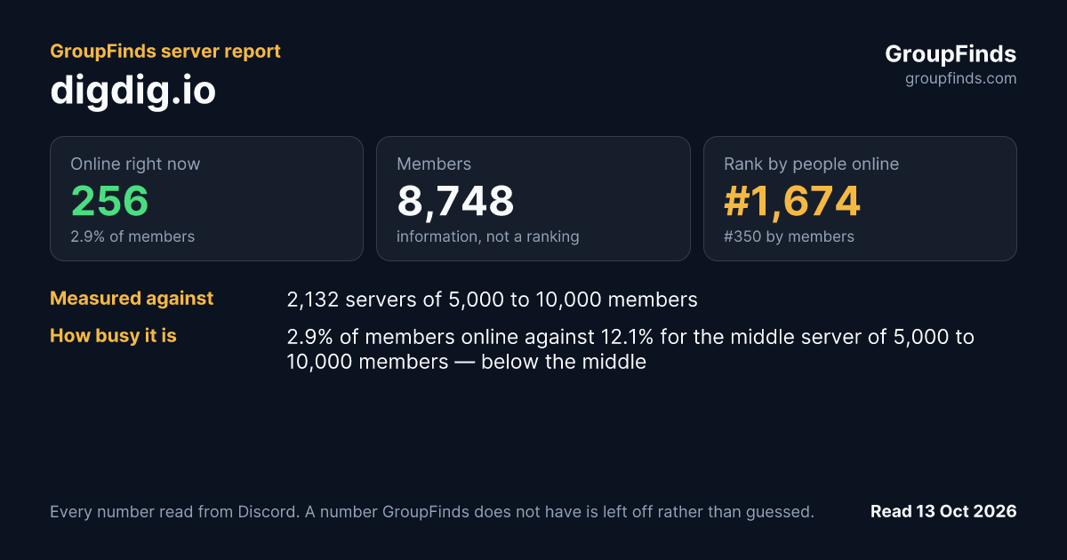 digdig.io's GroupFinds server report
