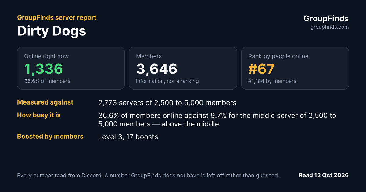 Dirty Dogs's GroupFinds server report
