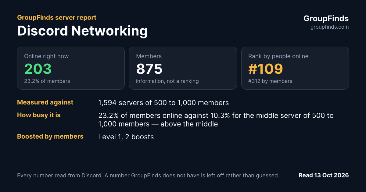 Discord Networking's GroupFinds server report