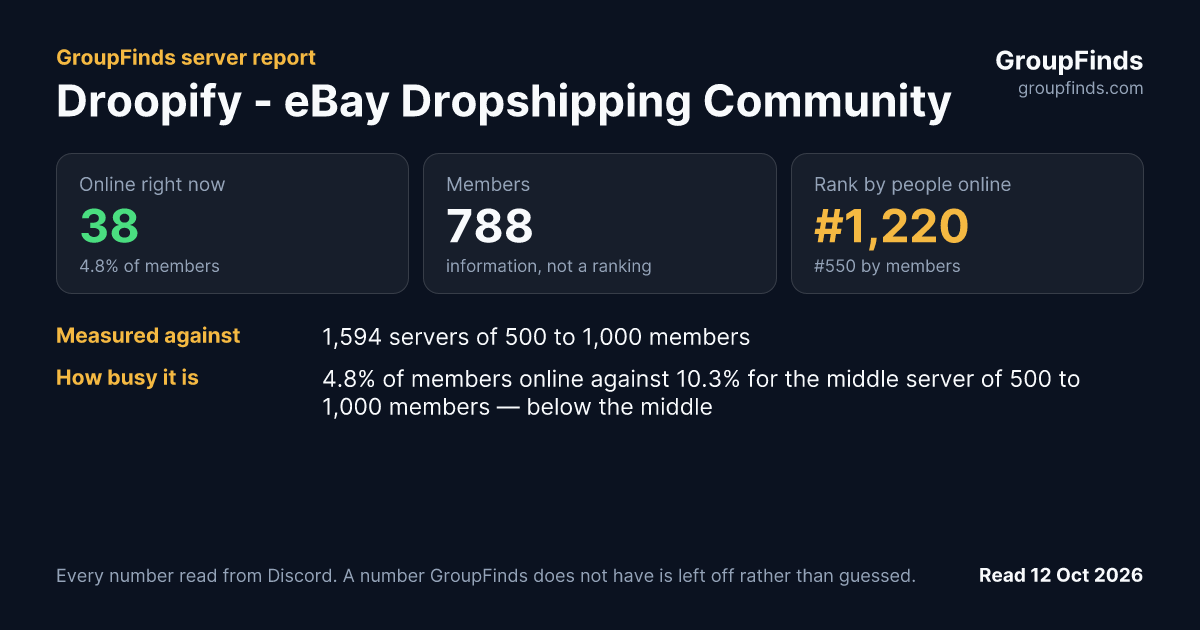 Droopify - eBay Dropshipping Community's GroupFinds server report