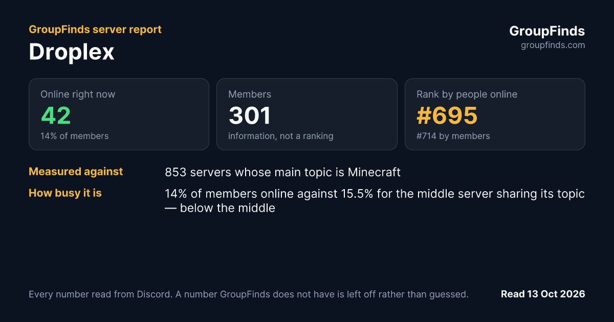 Droplex's GroupFinds server report