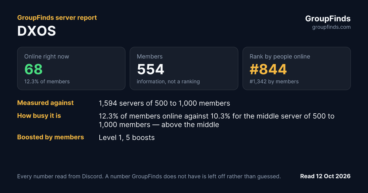 DXOS's GroupFinds server report
