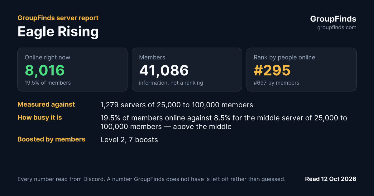 Eagle Rising's GroupFinds server report