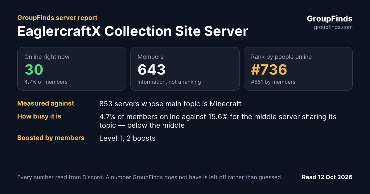 EaglercraftX Collection Site Server's GroupFinds server report