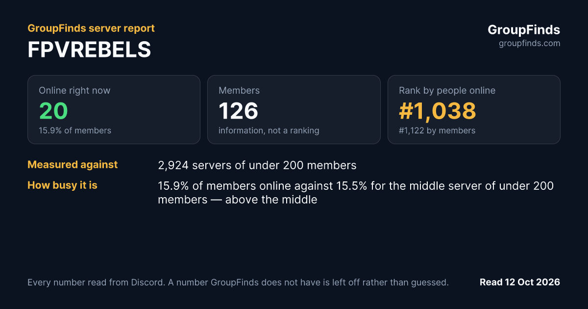 FPVREBELS's GroupFinds server report