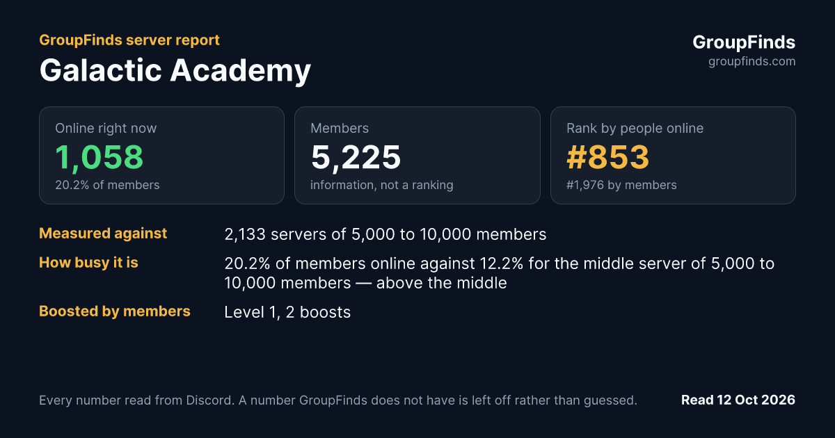 Galactic Academy's GroupFinds server report