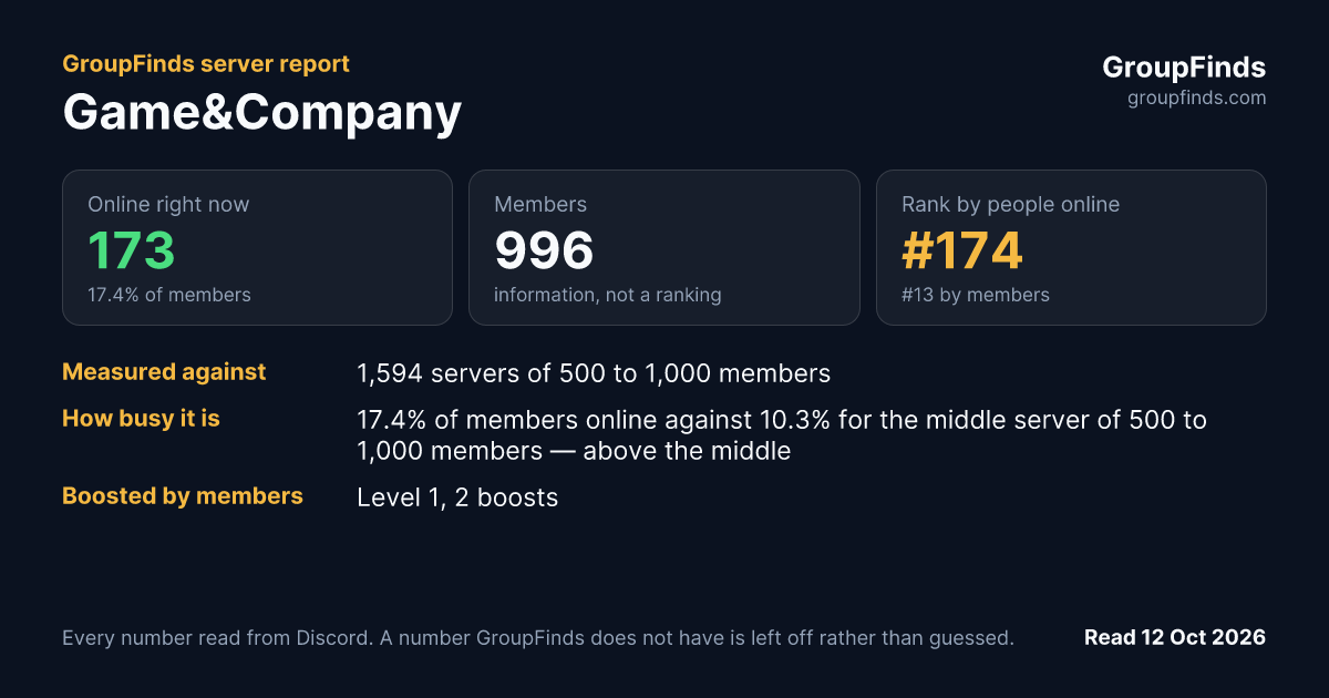 Game&Company's GroupFinds server report