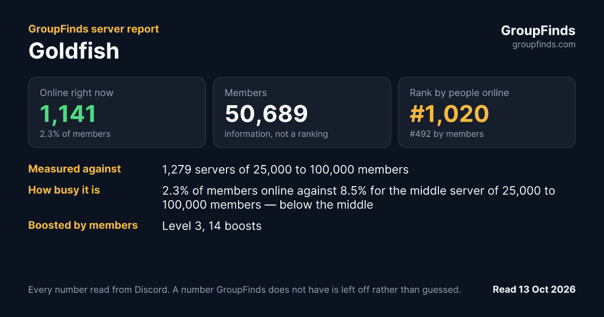 Goldfish's GroupFinds server report