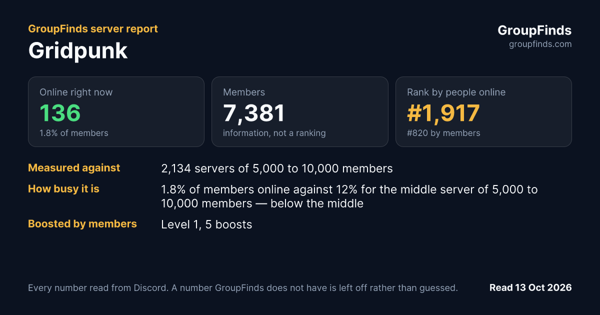 Gridpunk's GroupFinds server report
