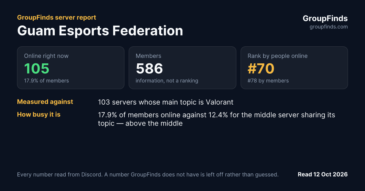 Guam Esports Federation's GroupFinds server report