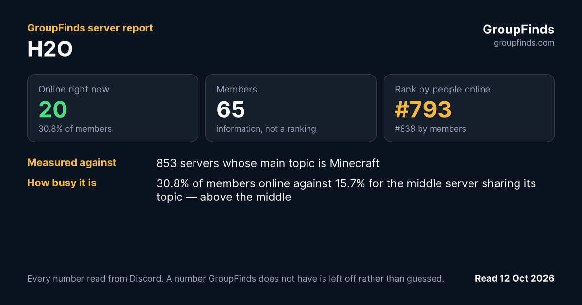 H2O's GroupFinds server report