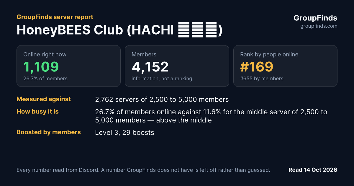 HoneyBEES Club (HACHI 中文群)'s GroupFinds server report