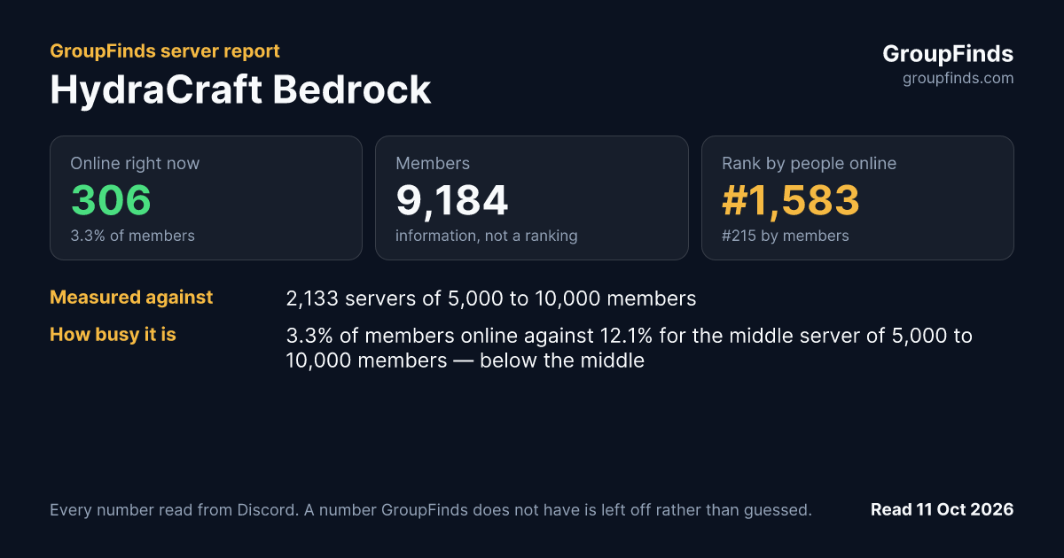 HydraCraft Bedrock's GroupFinds server report