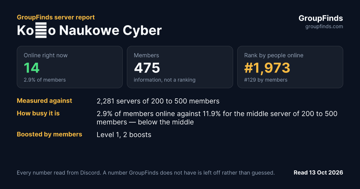 Koło Naukowe Cyber's GroupFinds server report