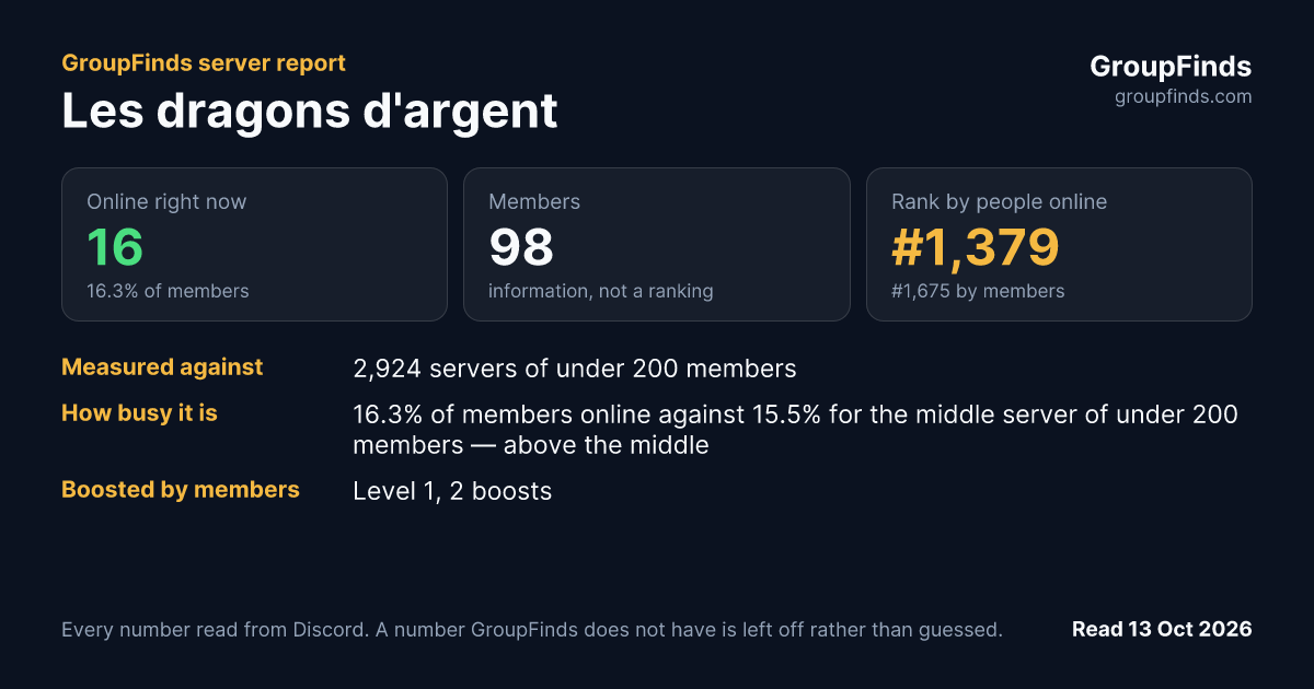 Les dragons d'argent's GroupFinds server report