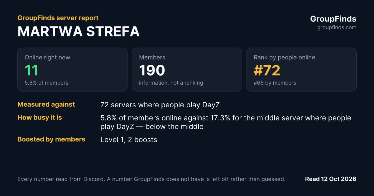 MARTWA STREFA's GroupFinds server report