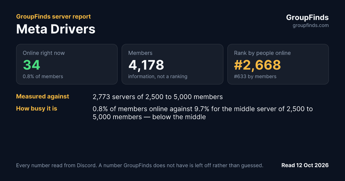 Meta Drivers's GroupFinds server report