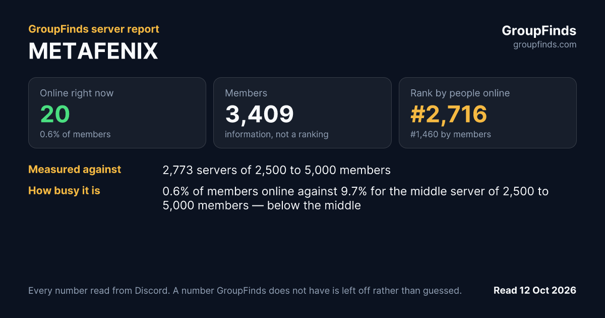 METAFENIX's GroupFinds server report