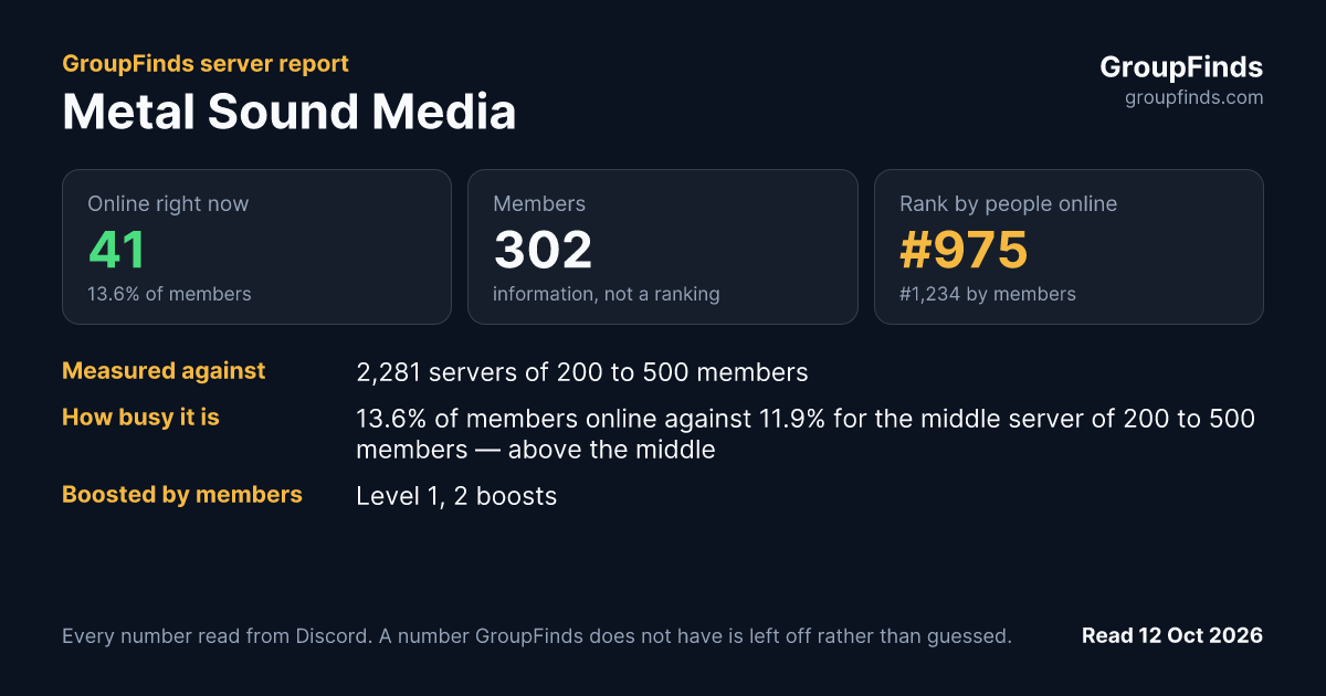 Metal Sound Media's GroupFinds server report