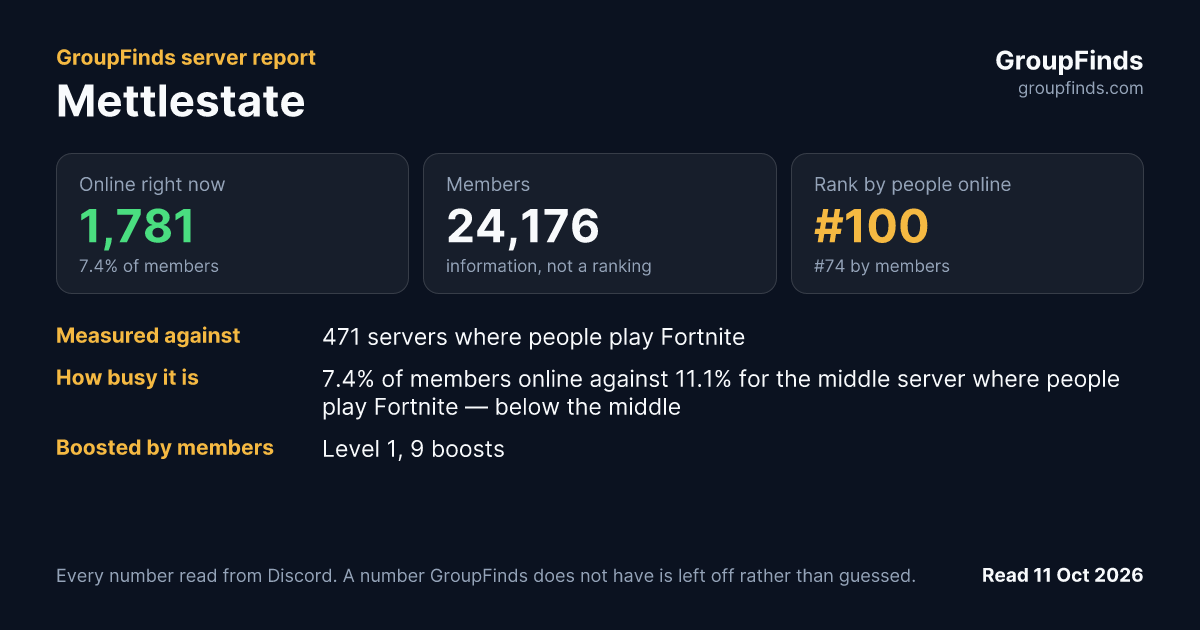 Mettlestate's GroupFinds server report