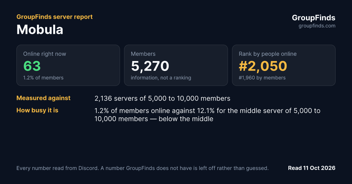Mobula's GroupFinds server report