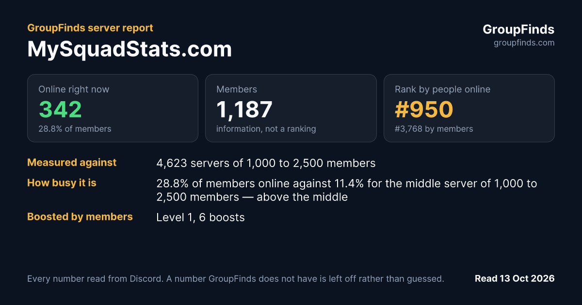 MySquadStats.com's GroupFinds server report