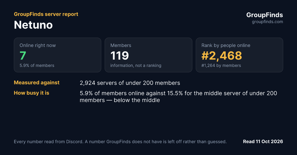 Netuno's GroupFinds server report