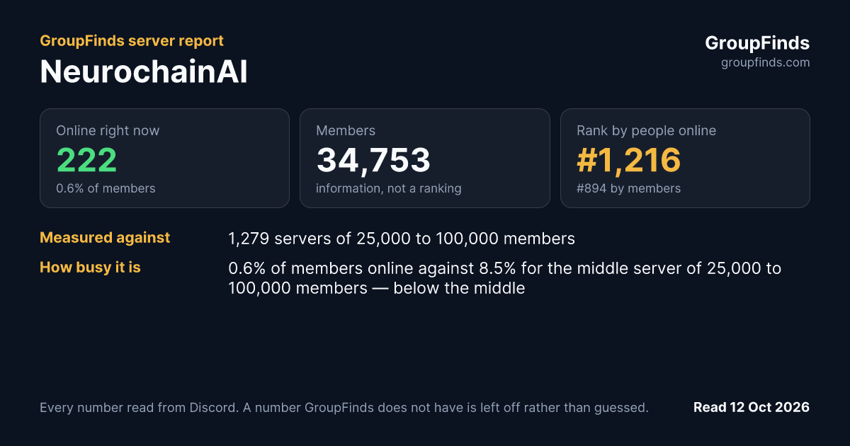 NeurochainAI's GroupFinds server report