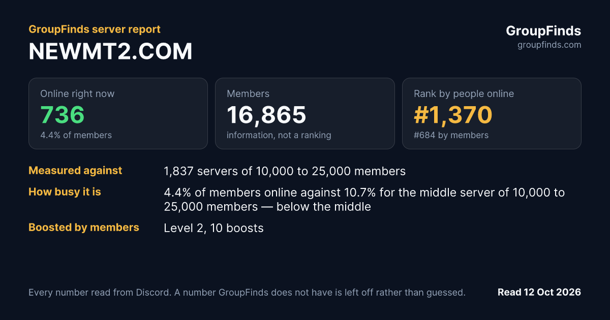 NEWMT2.COM's GroupFinds server report