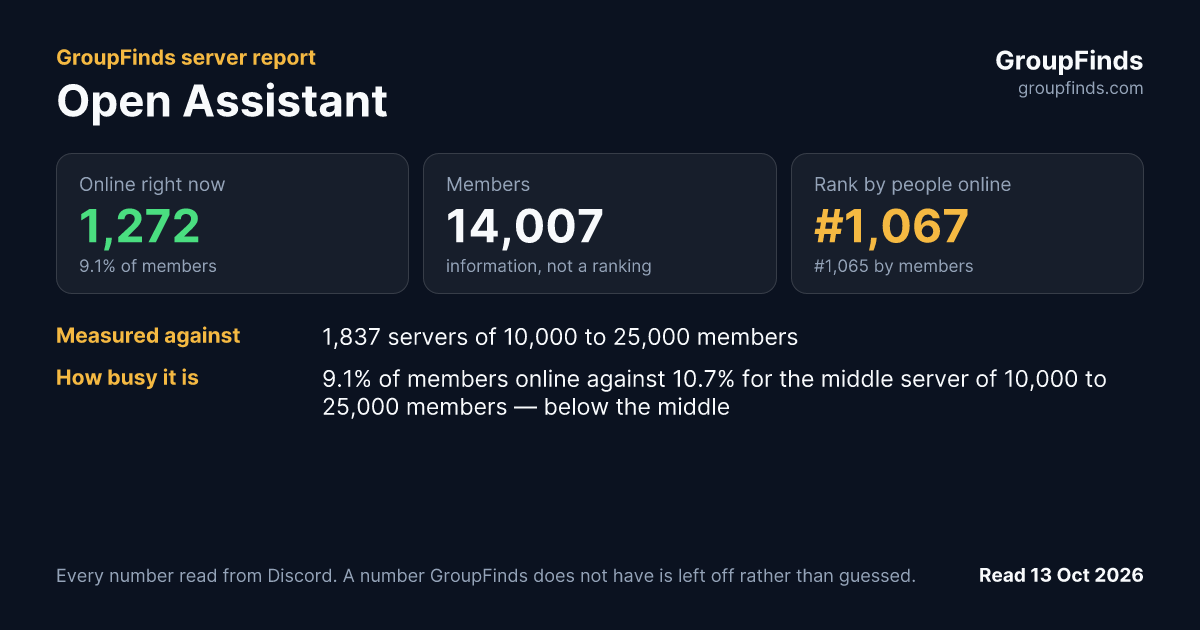 Open Assistant's GroupFinds server report