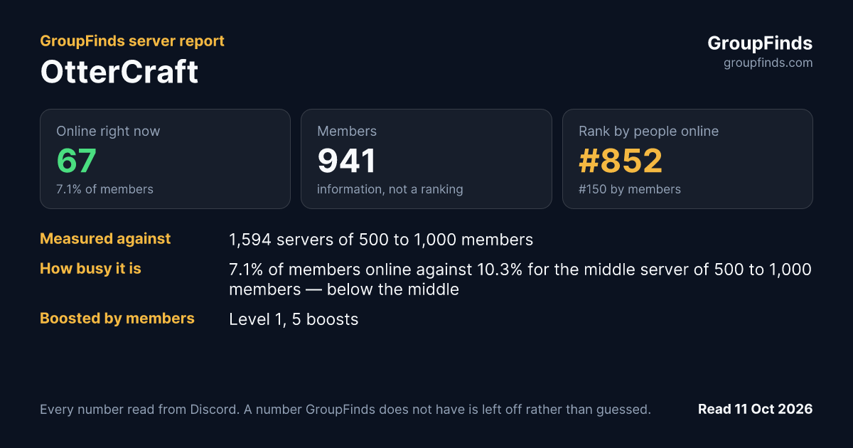 OtterCraft's GroupFinds server report