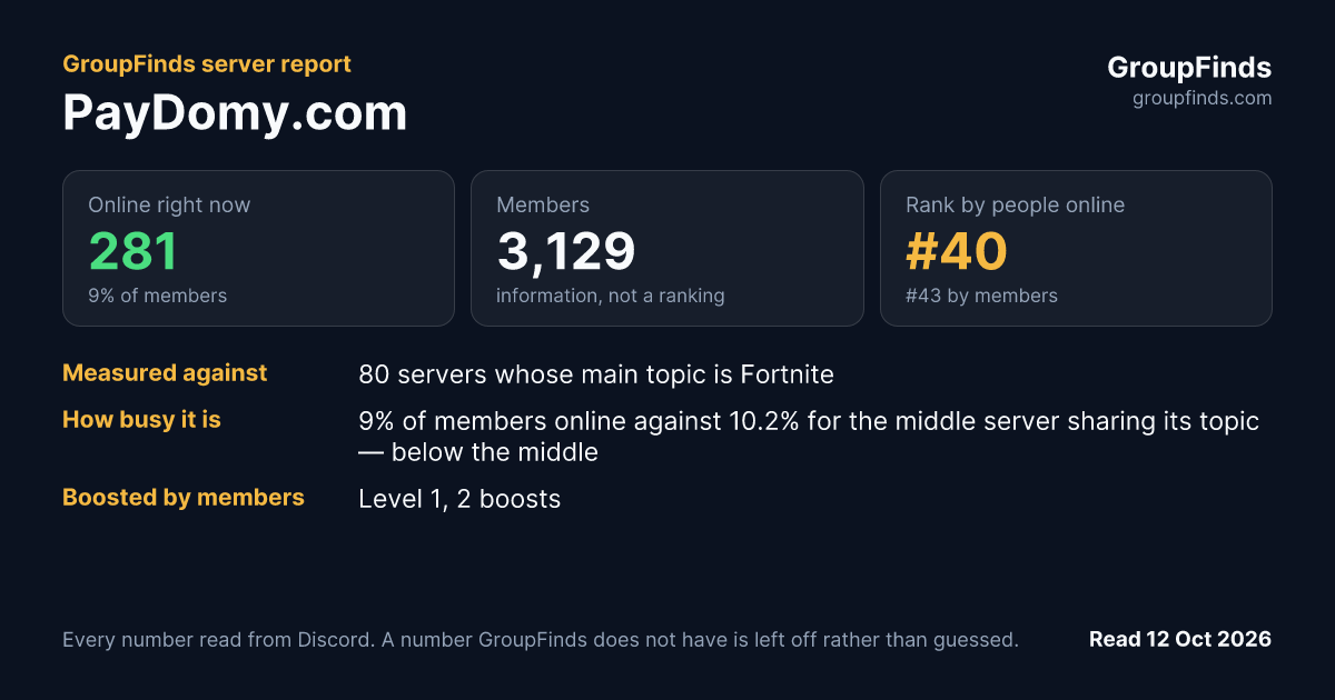 PayDomy.com's GroupFinds server report