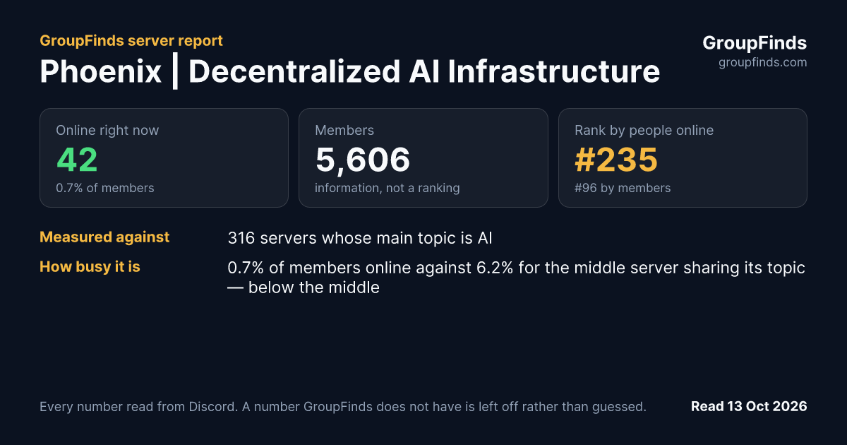 Phoenix | Decentralized AI Infrastructure's GroupFinds server report