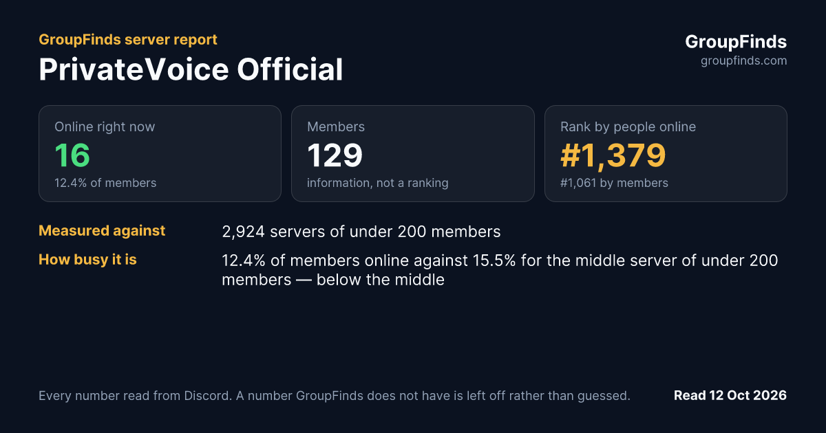 PrivateVoice Official's GroupFinds server report
