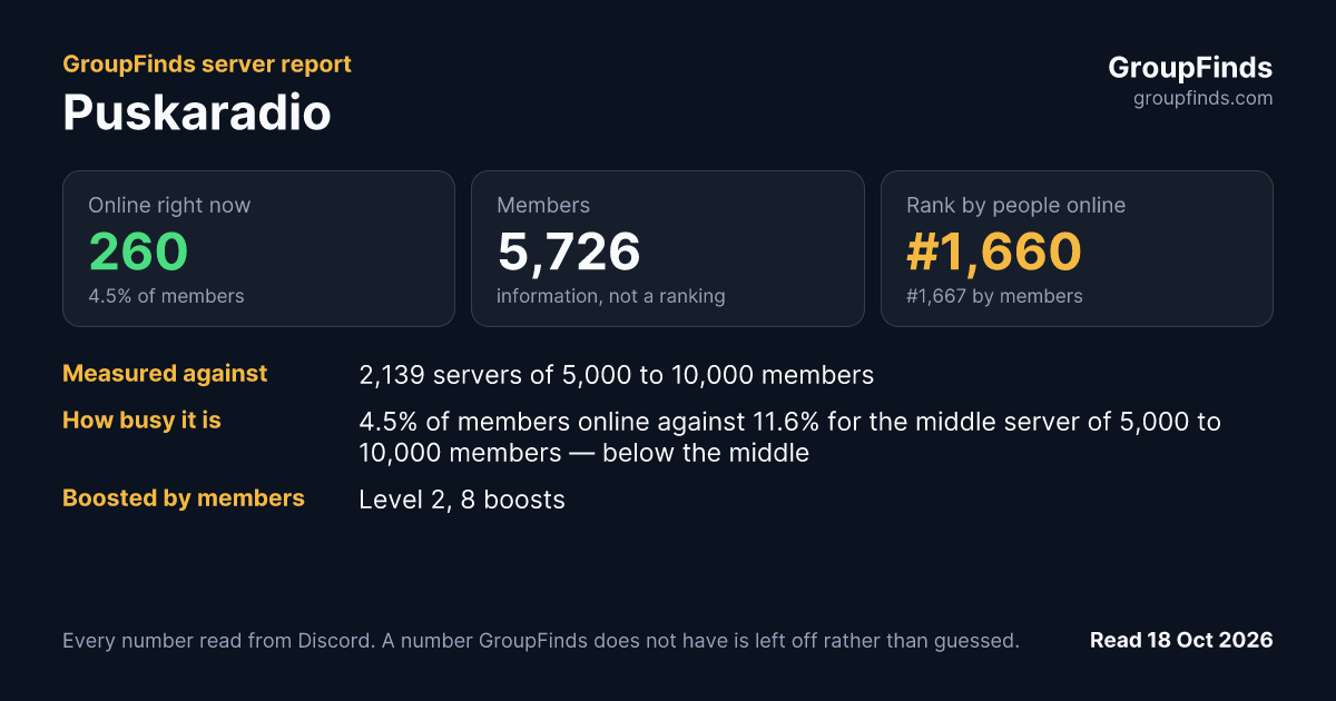 Puskaradio's GroupFinds server report