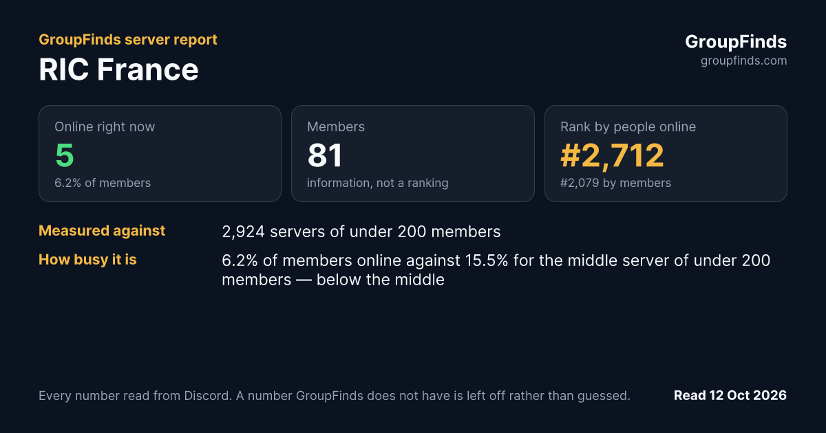 RIC France's GroupFinds server report