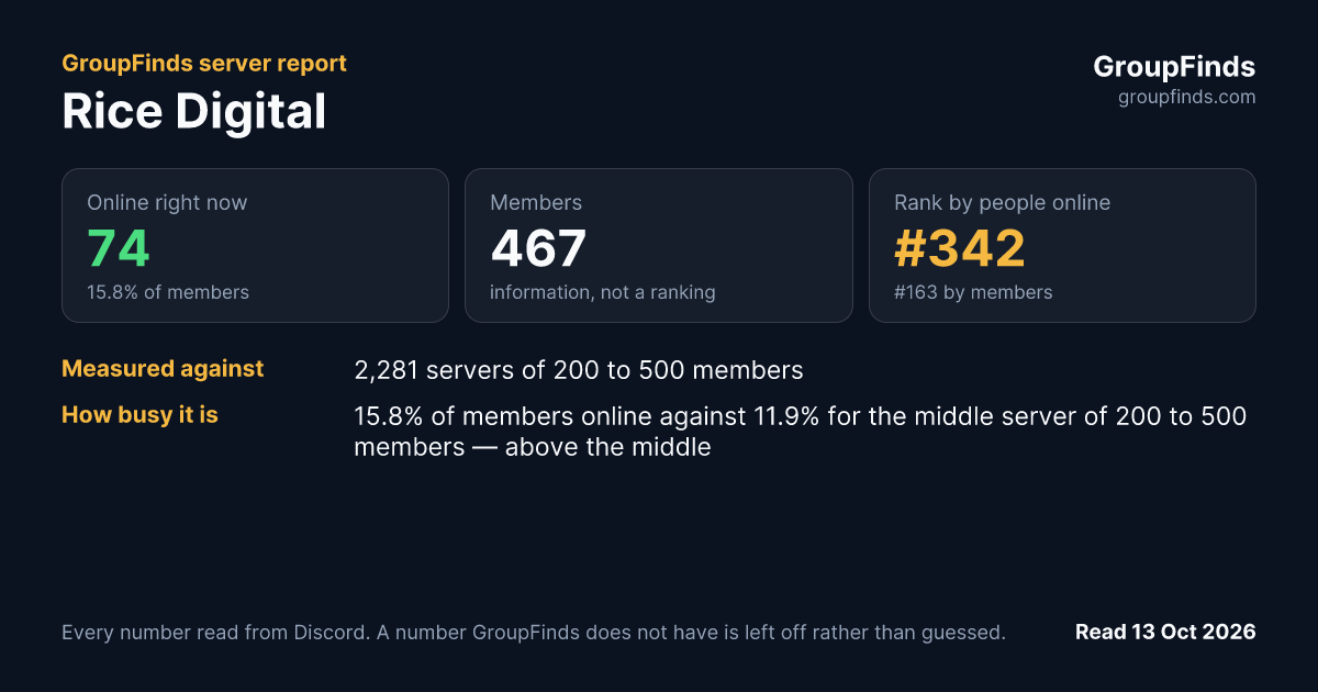 Rice Digital's GroupFinds server report